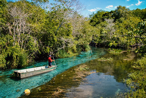 Descubra o cerrado em Bonito