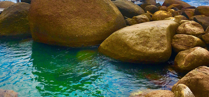 Piscinas naturais de Ilhabela