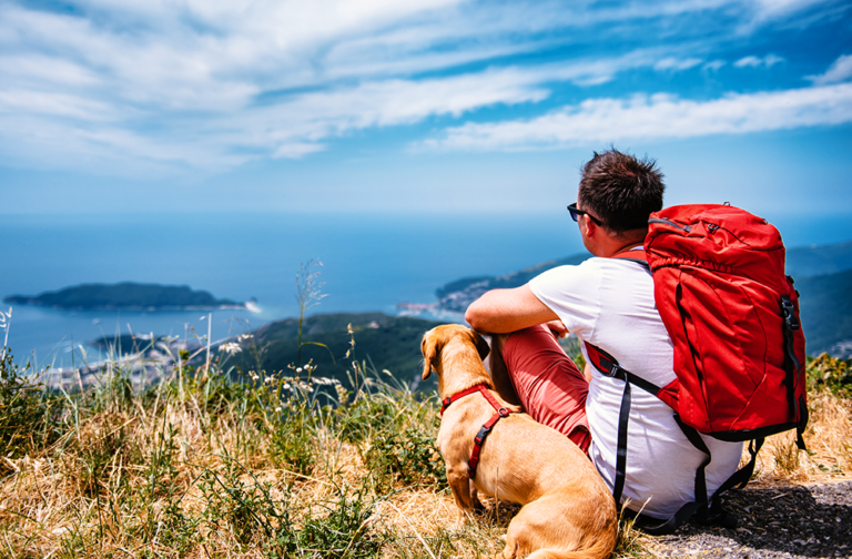 Viajar com pet: o que preciso saber?